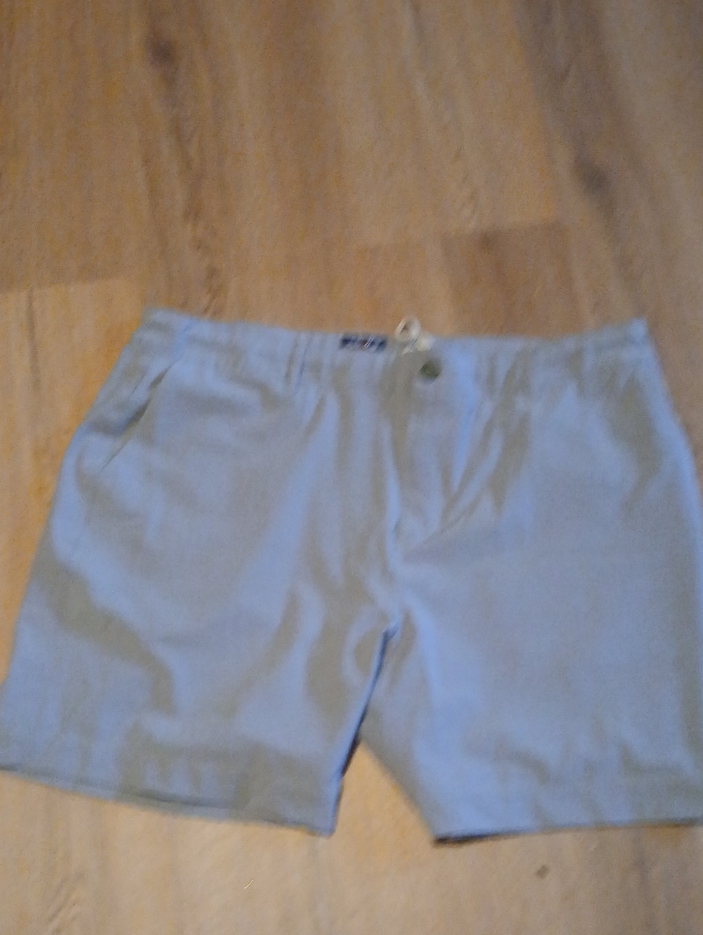 Faherty All Day Men's Light Blue Flat-Front Shorts
